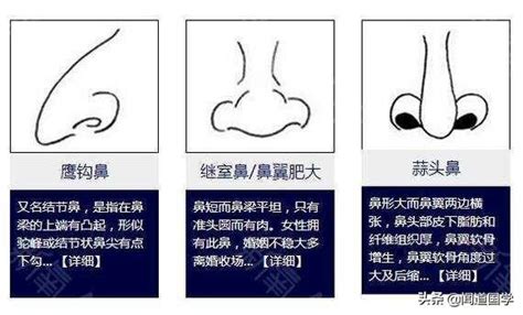 鼻環面相|面相學之鼻型解析、全面解讀鼻子與命運